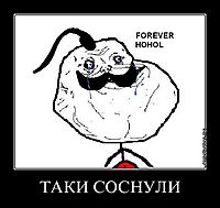 ТАКИ СОСНУЛИ 