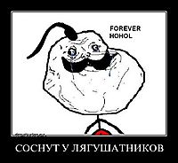 СОСНУТ У ЛЯГУШАТНИКОВ 