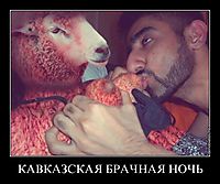 КАВКАЗСКАЯ БРАЧНАЯ НОЧЬ 