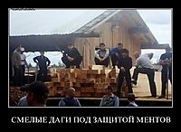 СМЕЛЫЕ ДАГИ ПОД ЗАЩИТОЙ МЕНТОВ 