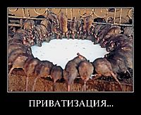 ПРИВАТИЗАЦИЯ... 