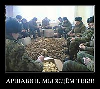 АРШАВИН, МЫ ЖДЁМ ТЕБЯ! 