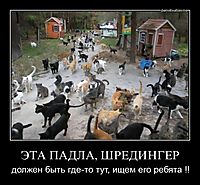 ЭТА ПАДЛА, ШРЕДИНГЕР должен быть где-то тут, ищем его ребята !!