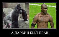 А ДАРВИН БЫЛ ПРАВ 