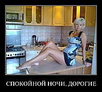СПОКОЙНОЙ НОЧИ, ДОРОГИЕ 