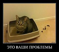 ЭТО ВАШИ ПРОБЛЕМЫ 