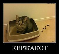 КЕРЖАКОТ 