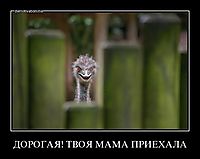 ДОРОГАЯ! ТВОЯ МАМА ПРИЕХАЛА 