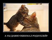 А ТЫ ДАВНО ОБНИМАЛ РОДИТЕЛЕЙ? 