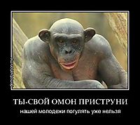 ТЫ-СВОЙ ОМОН ПРИСТРУНИ нашей молодежи погулять уже нельзя