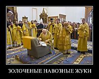 ЗОЛОЧЕНЫЕ НАВОЗНЫЕ ЖУКИ 