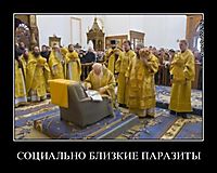 СОЦИАЛЬНО БЛИЗКИЕ ПАРАЗИТЫ 