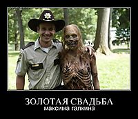 ЗОЛОТАЯ СВАДЬБА максима галкина