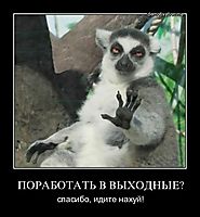 ПОРАБОТАТЬ В ВЫХОДНЫЕ? спасибо, идите нахуй!