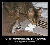 ЕСЛИ ХОЧЕШЬ БЫТЬ ЗДОРОВ ешь один и в темноте