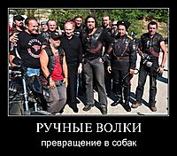 РУЧНЫЕ ВОЛКИ превращение в собак