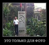 ЭТО ТОЛЬКО ДЛЯ ФОТО 