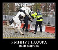 5 МИНУТ ПОЗОРА ради квартиры