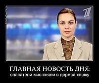 ГЛАВНАЯ НОВОСТЬ ДНЯ: спасатели мчс сняли с дерева кошку