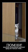 ПОМНИ! занятие онанизмом наносит вред не только тебе...