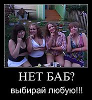 НЕТ БАБ? выбирай любую!!!