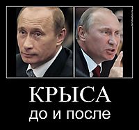КРЫСА до и после