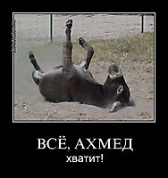 ВСЁ, АХМЕД хватит!