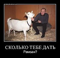 СКОЛЬКО ТЕБЕ ДАТЬ Рамзан?