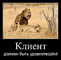 Клиент должен быть удовлетворён!