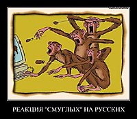 РЕАКЦИЯ "СМУГЛЫХ" НА РУССКИХ 