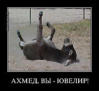 АХМЕД, ВЫ - ЮВЕЛИР! 