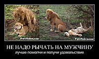 НЕ НАДО РЫЧАТЬ НА МУЖЧИНУ лучше помолчи и получи удовольствие