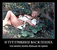 И ТУТ ГРИБНИК ВАСЯ ПОНЯЛ, что ничего искать больше не нужно