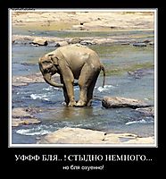 УФФФ БЛЯ.. ! СТЫДНО НЕМНОГО... но бля охуенно!