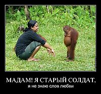 МАДАМ! Я СТАРЫЙ СОЛДАТ, я не знаю слов любви