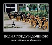 ЕСЛИ Я ПОЙДУ И ДОЛИНОЮ смертной тени, не убоюсь зла