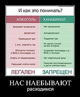 НАС НАЕБЫВАЮТ расходимся