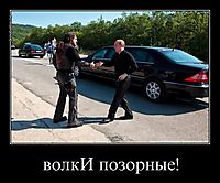 волкИ позорные! 