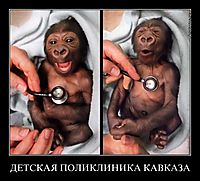 ДЕТСКАЯ ПОЛИКЛИНИКА КАВКАЗА 