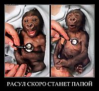РАСУЛ СКОРО СТАНЕТ ПАПОЙ 