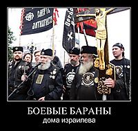 БОЕВЫЕ БАРАНЫ дома израилева