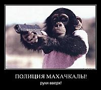 ПОЛИЦИЯ МАХАЧКАЛЫ! руки вверх!