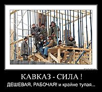 КАВКАЗ - СИЛА ! ДЕШЕВАЯ, РАБОЧАЯ! и крайне тупая...