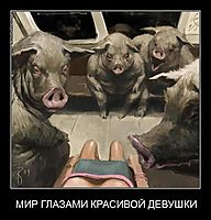 МИР ГЛАЗАМИ КРАСИВОЙ ДЕВУШКИ 
