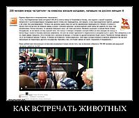КАК ВСТРЕЧАТЬ ЖИВОТНЫХ