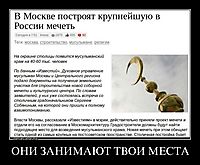 ОНИ ЗАНИМАЮТ ТВОИ МЕСТА 