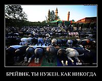 БРЕЙВИК, ТЫ НУЖЕН, КАК НИКОГДА 