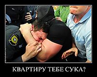 КВАРТИРУ ТЕБЕ СУКА? 