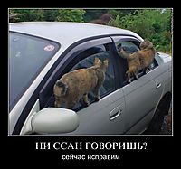 НИ ССАН ГОВОРИШЬ? сейчас исправим