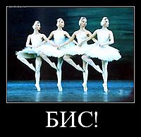 БИС! 